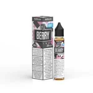 Vgod Berry Bomb Mint Salt
